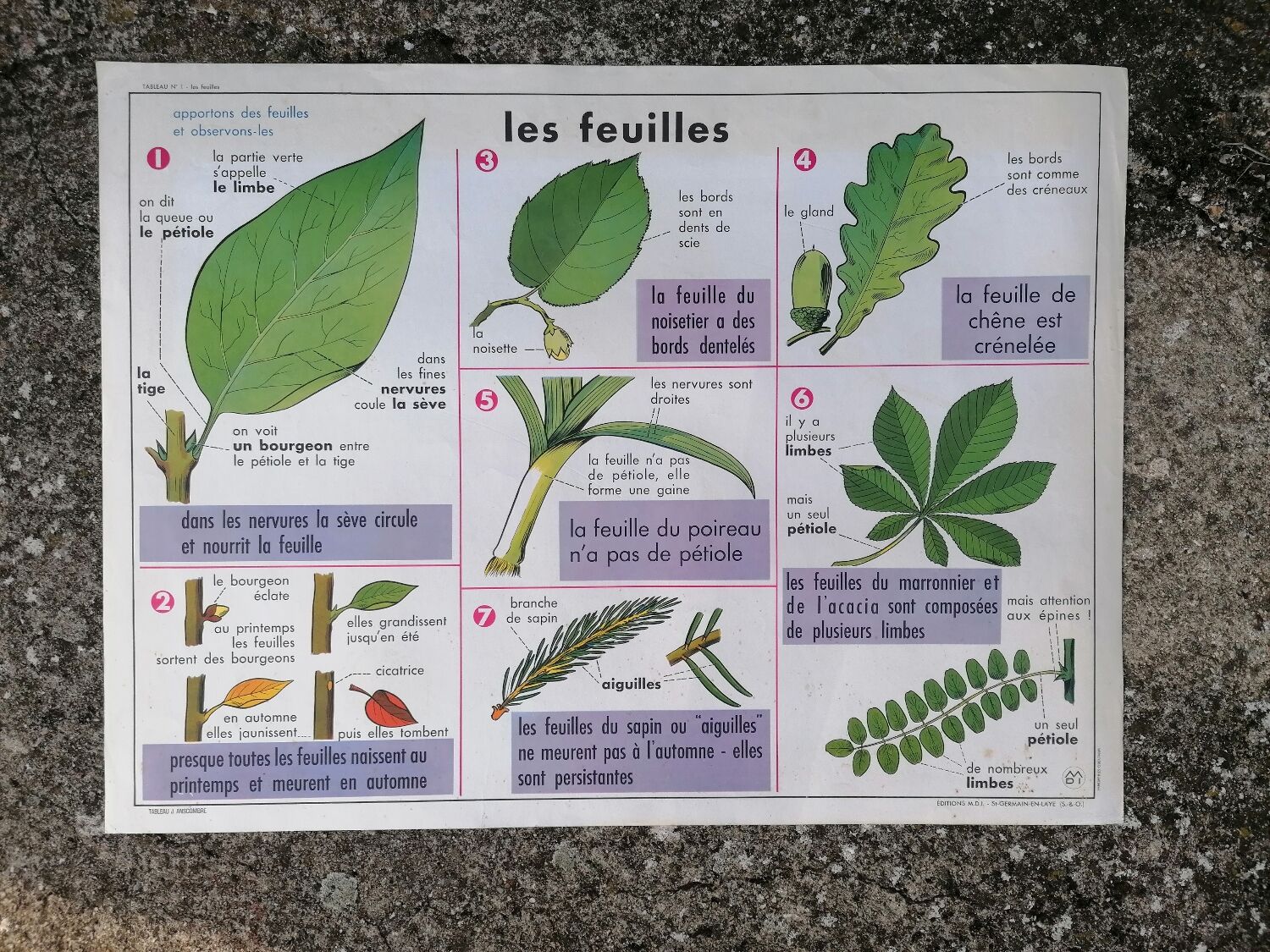 Old MDI poster "The leaves-The apple".