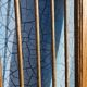 Old garden gate in solid teak