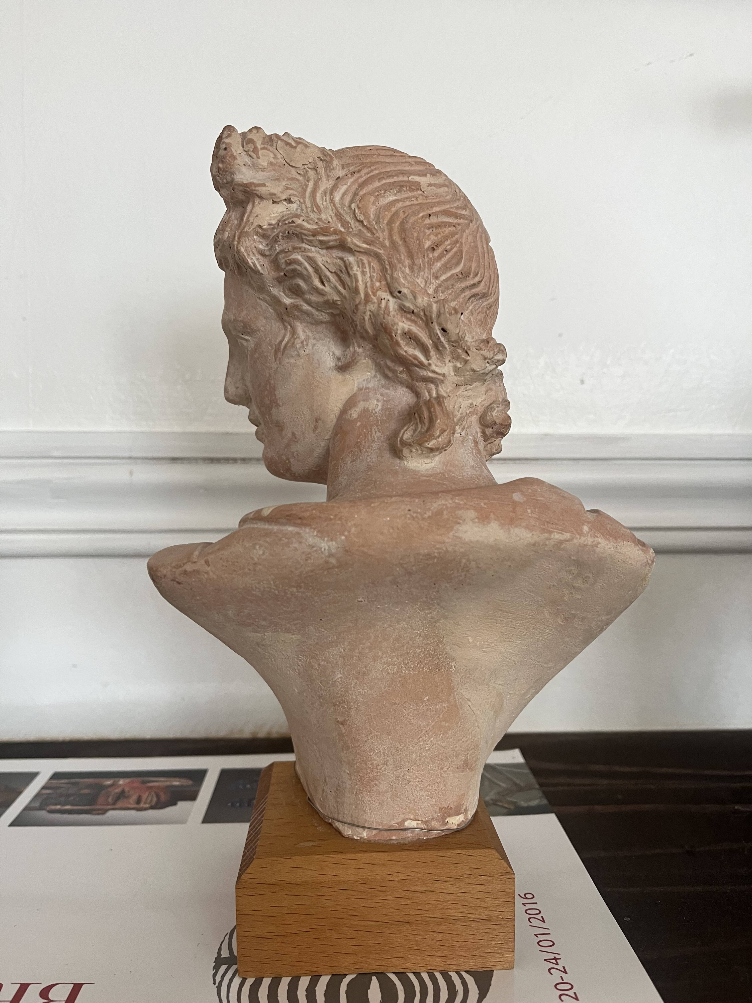 Terracotta bust of Apollo