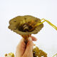 Old 8-branch brass chandelier and glass stamps