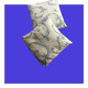 Lot de 2 coussins