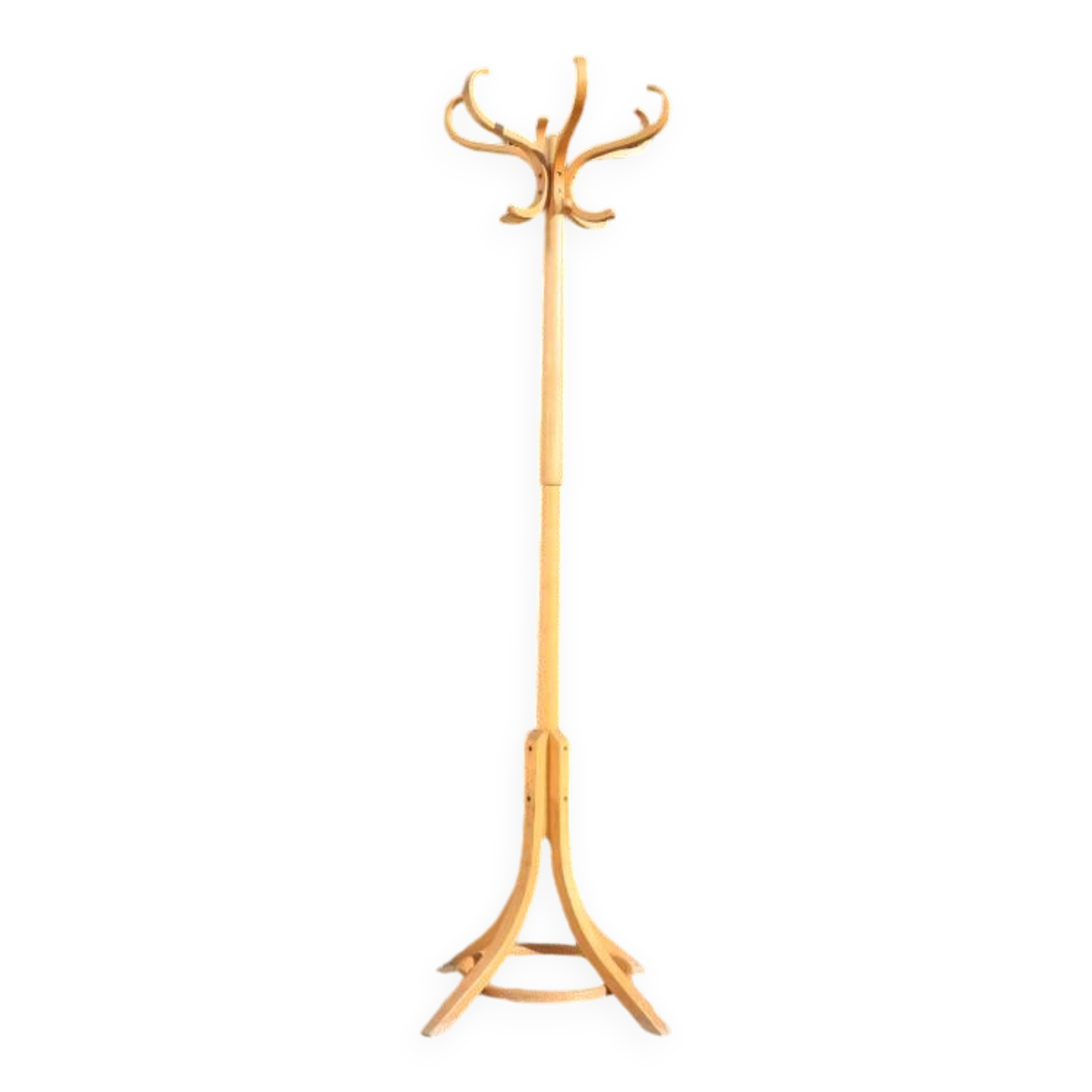 Baumann parrot coat rack simple clear