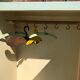Armoire enfant