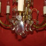 Six-armed crystal cage light fixture from the early 20th century