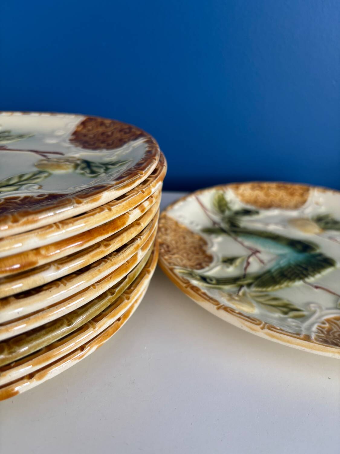 Set of 2 Salins Barbotine Plates - Vintage Parakeet Decor - service