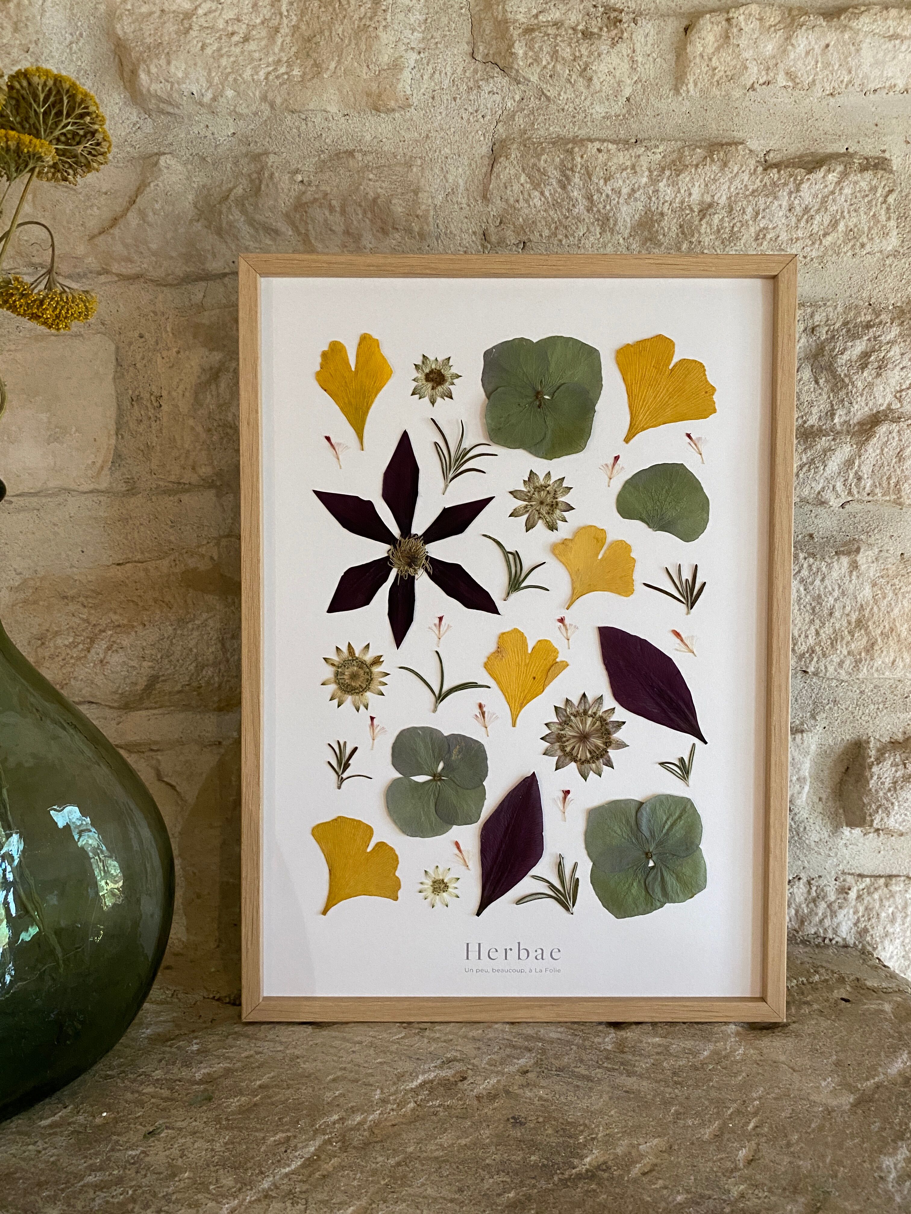 Framed herbarium Matisse
