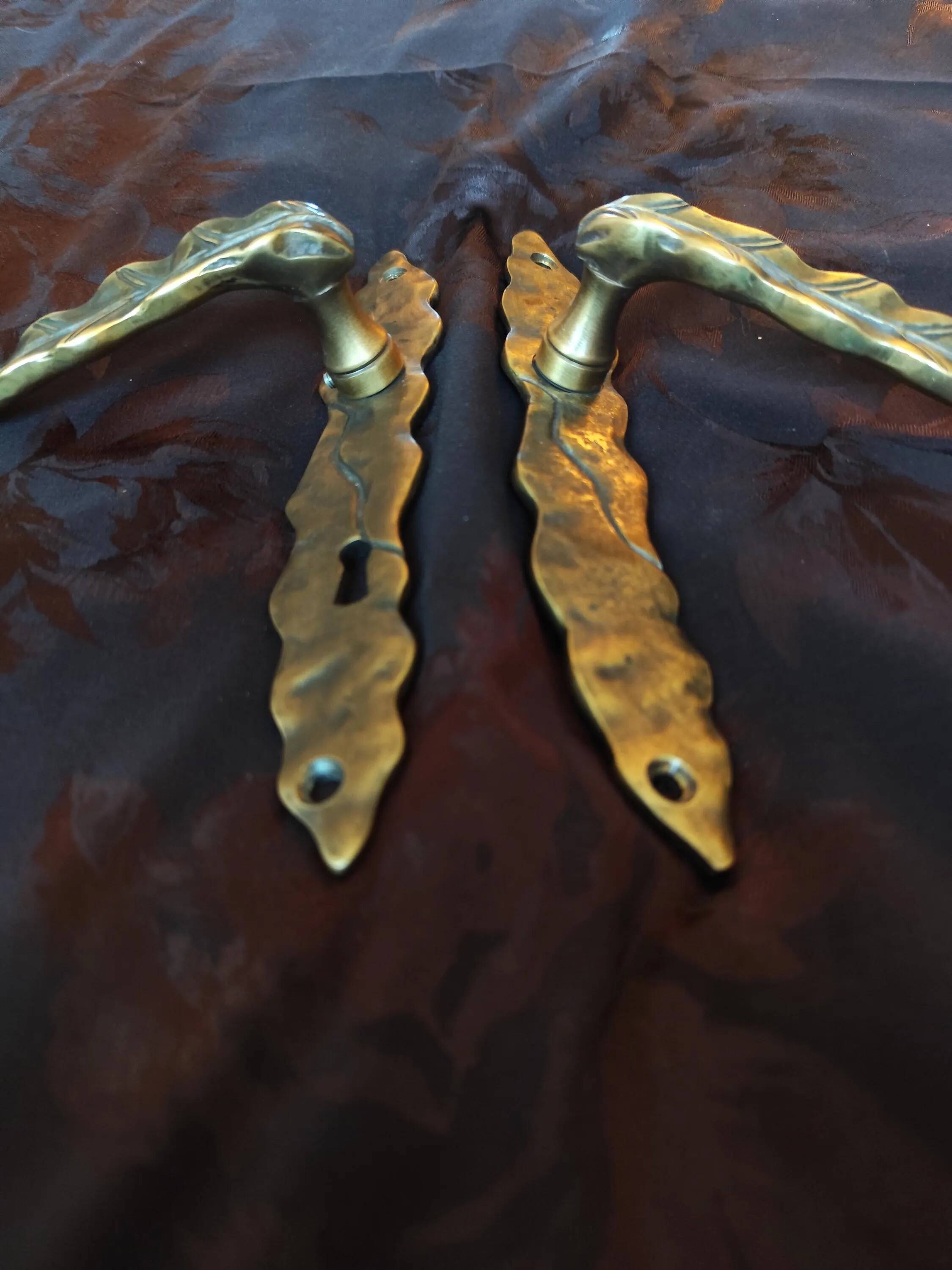 Pair of brass door handles with their cover plates