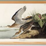 Poster about Maubèche, based on an old engraving from 1827.