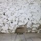 DAX chair by Eames for Herman Miller, 1960