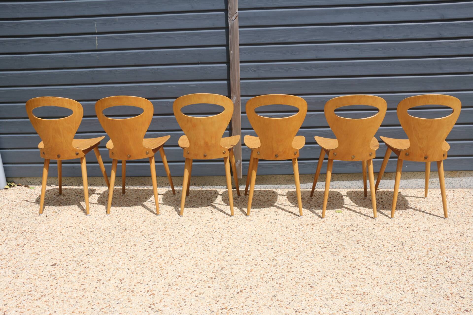 6 BAUMANN V2 chairs in light beech
