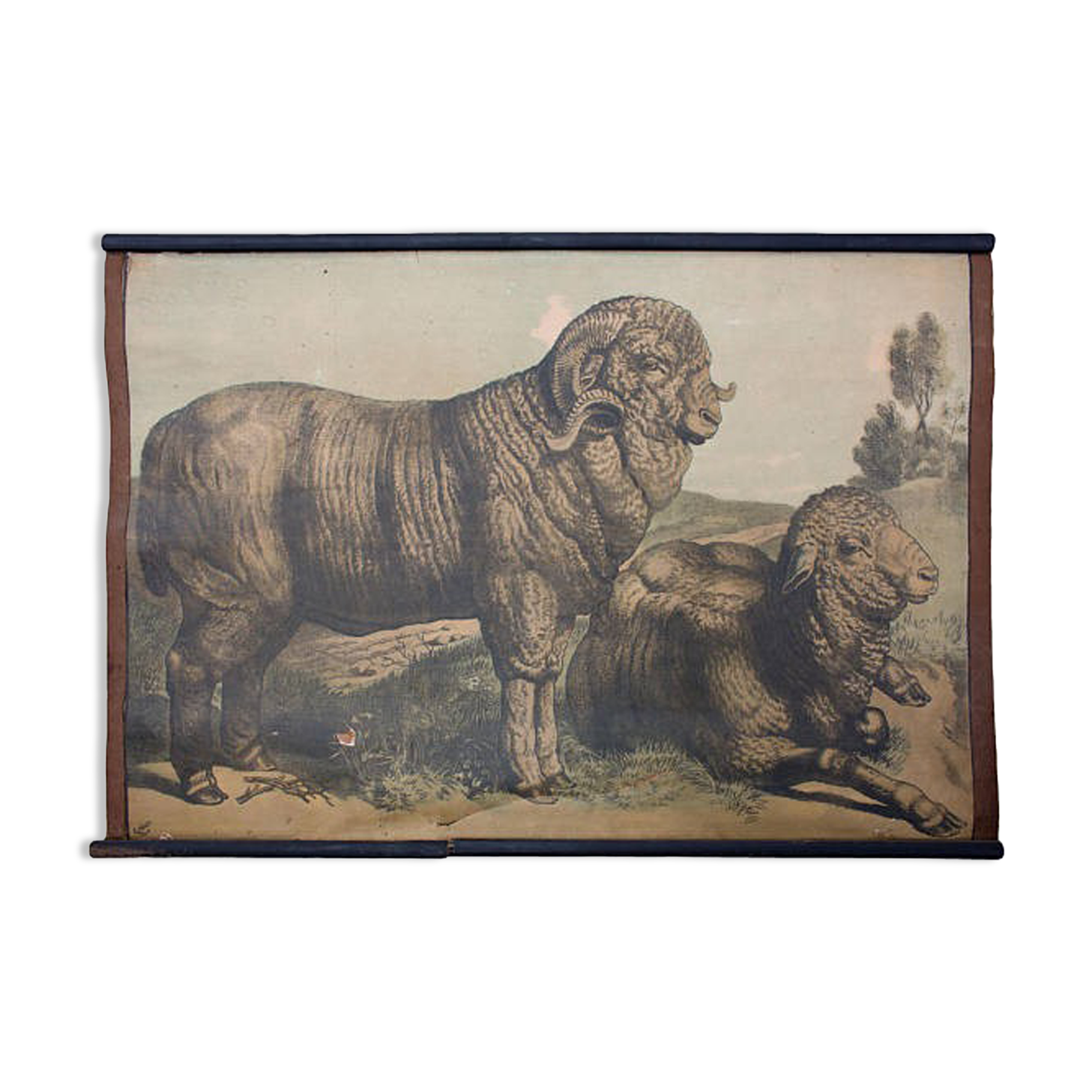 Poster Karl Jansky Böhmen 1897