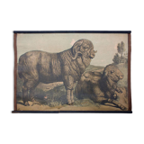 Poster Karl Jansky Böhmen 1897