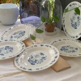 3 bowls and 5 blue plates