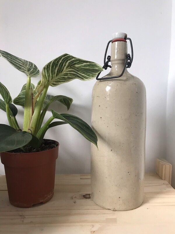Old bottle bottle