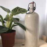 Old bottle bottle
