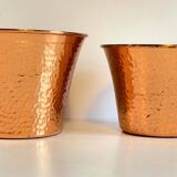Pair of copper plants 1960s