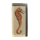 Hippocampus in taxidermy inclusion in resin block