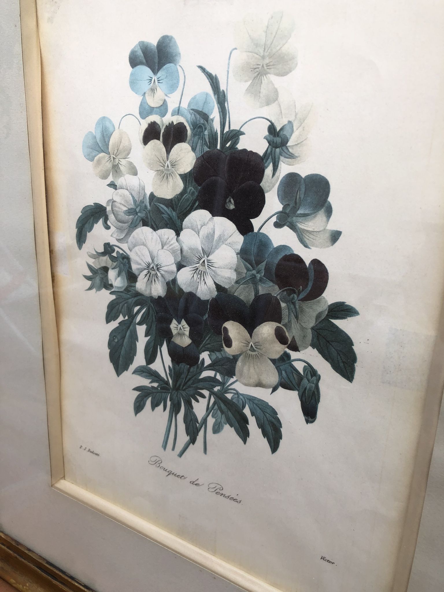 Former botanical board gilded frame PJ Redouté "Bouquet of Thoughts" Printing Victor 19th