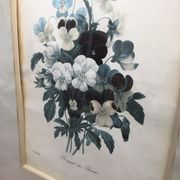 Former botanical board gilded frame PJ Redouté "Bouquet of Thoughts" Printing Victor 19th