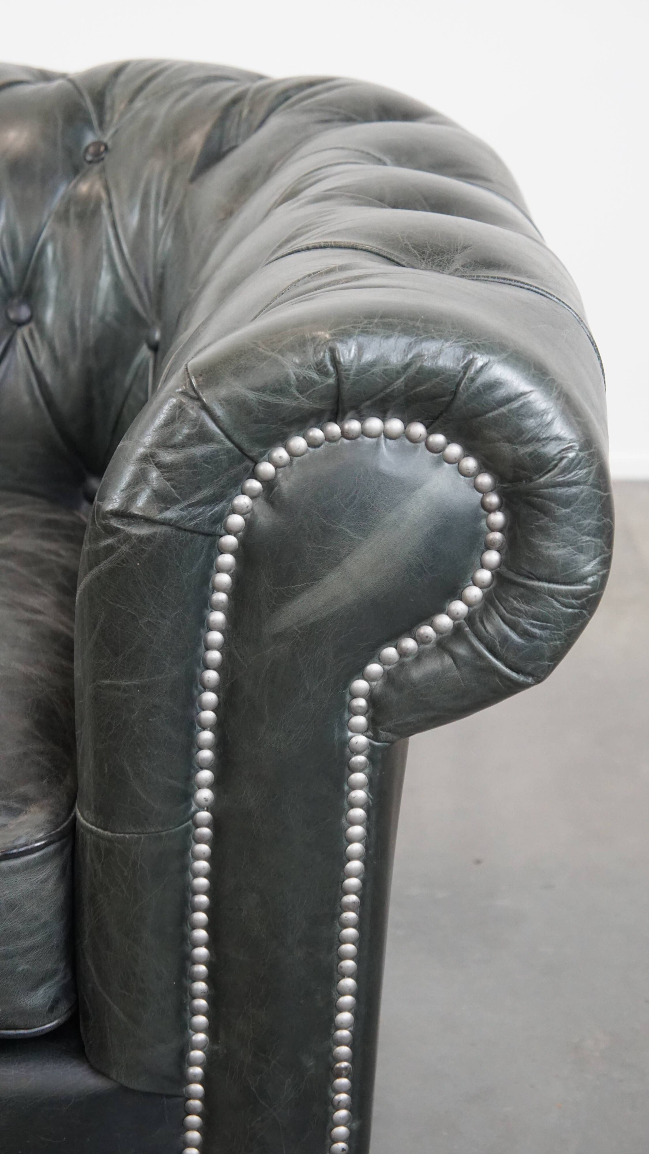 Black Chesterfield armchair made of grained cowhide leather