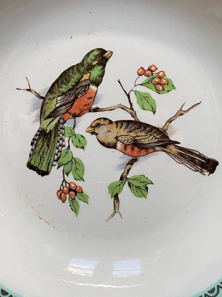 Set of 8 flat plates from the 50s-60s, turquoise rim and bird pattern.