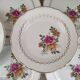 Set of 12 dessert plates Sarreguemines model Gérardmer