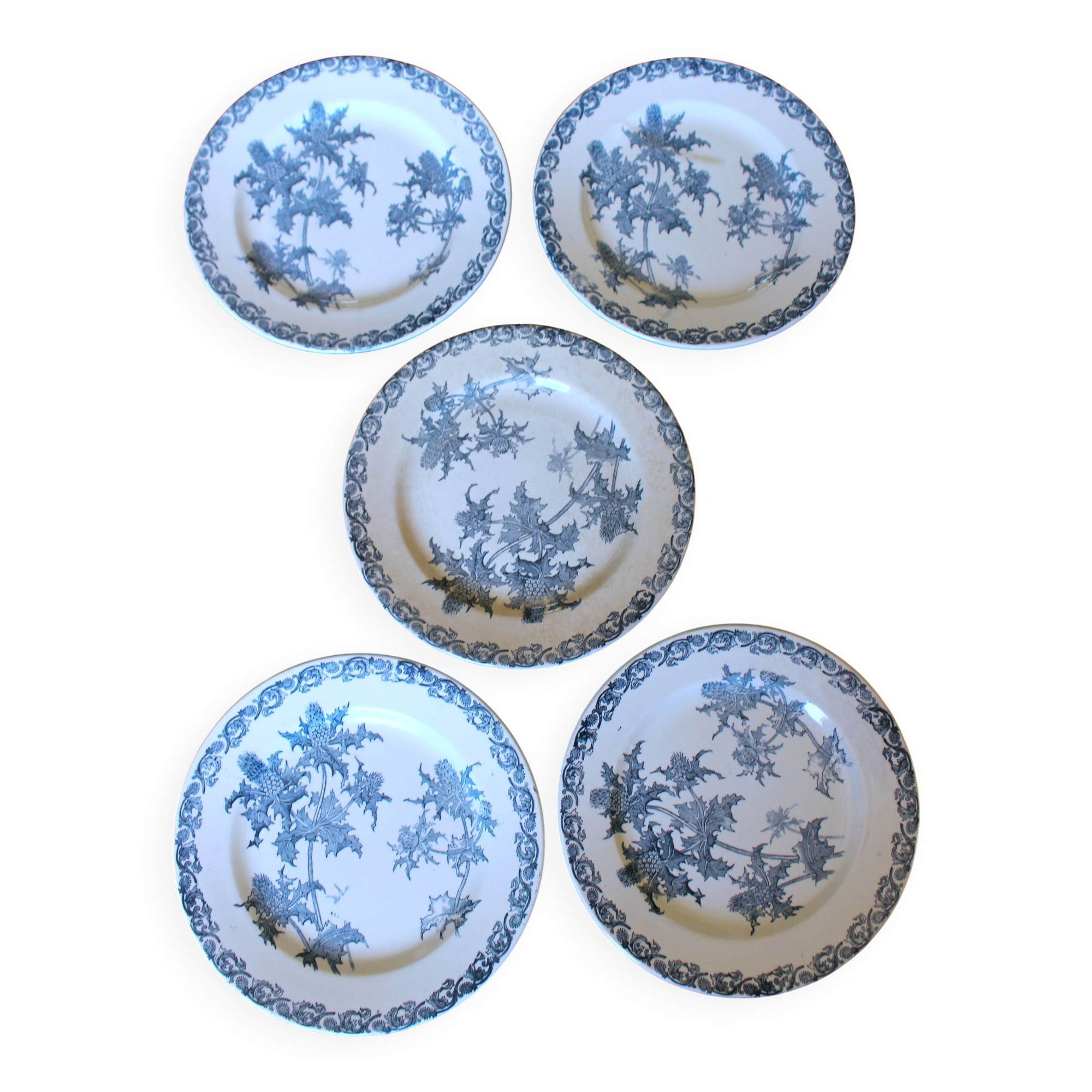 A set of 5 flat plates Chardon Bleu Terre de Fer Clairefontaine Righi