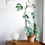 Lamp to be asked