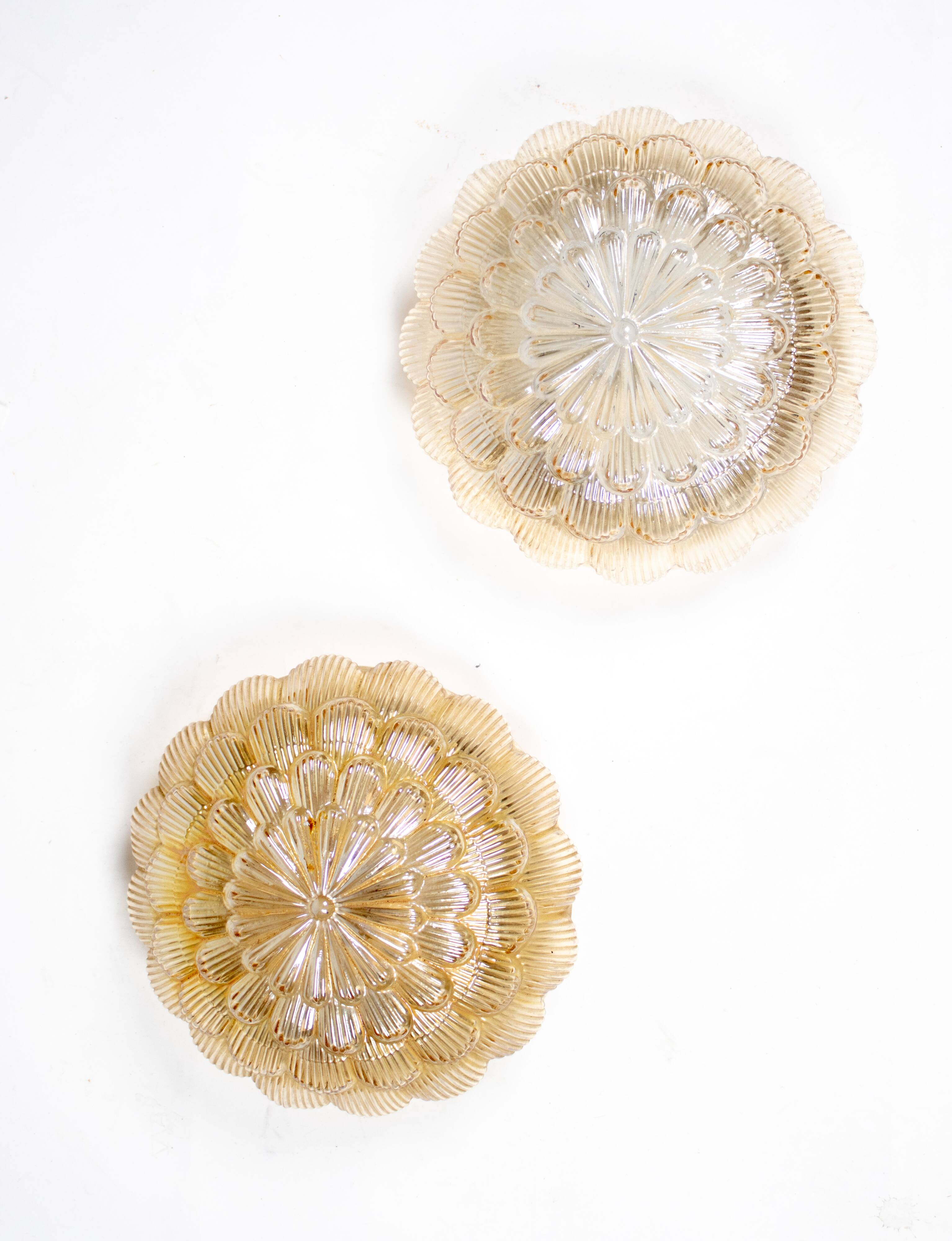 Pair of smoked glass ceiling lights