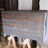Blue trunk