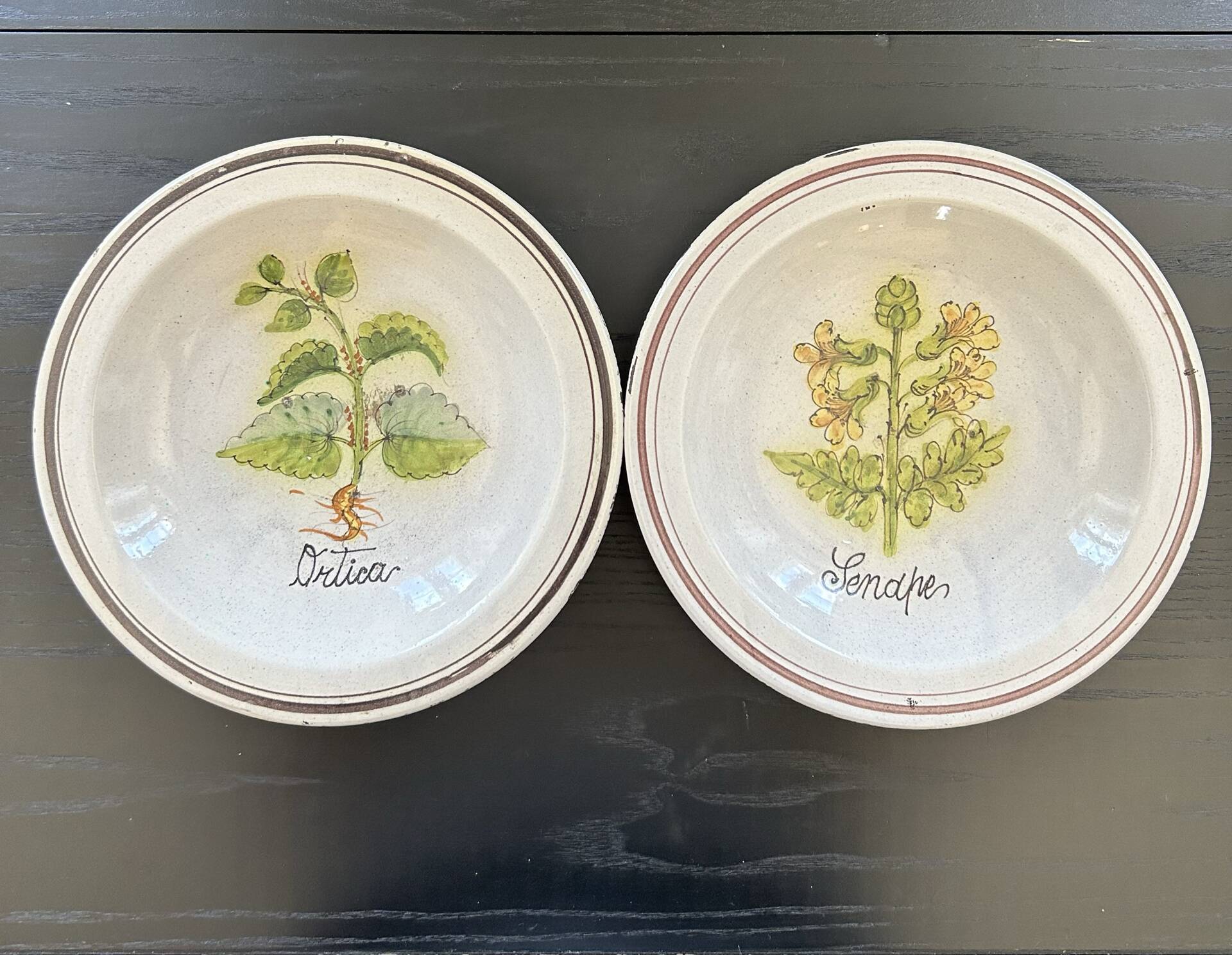 Collection de 2 plats botaniques made in Italy