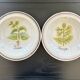 Collection de 2 plats botaniques made in Italy