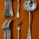 Art nouveau decor of iris 25 pieces