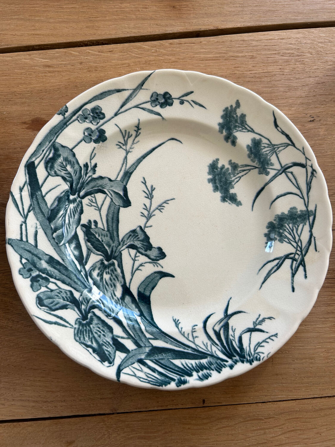 Set of 5 dessert plates Terre de fer Jules Vieillard