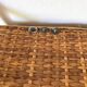 Vintage rattan cane bench chest