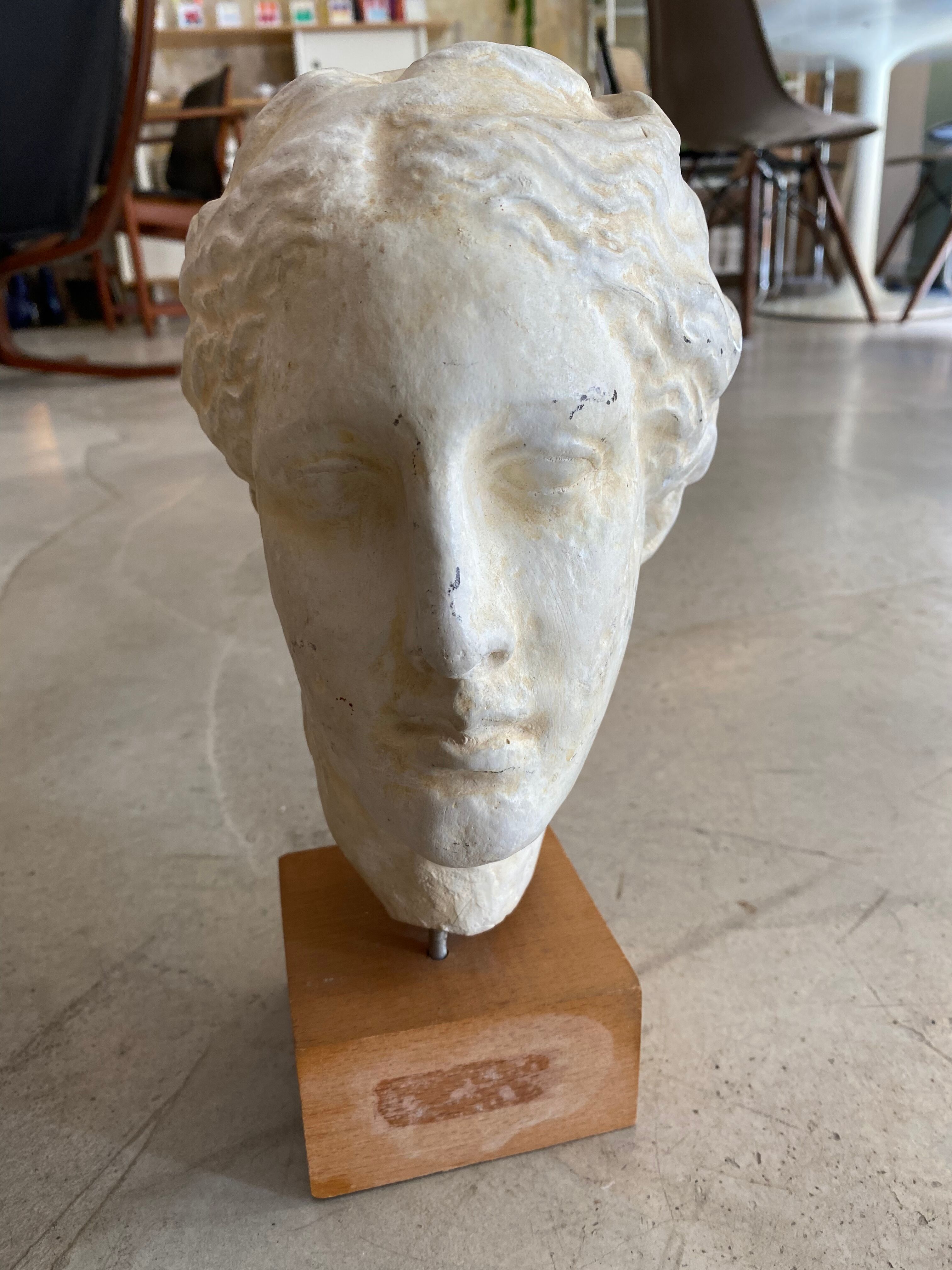 Antique plaster head