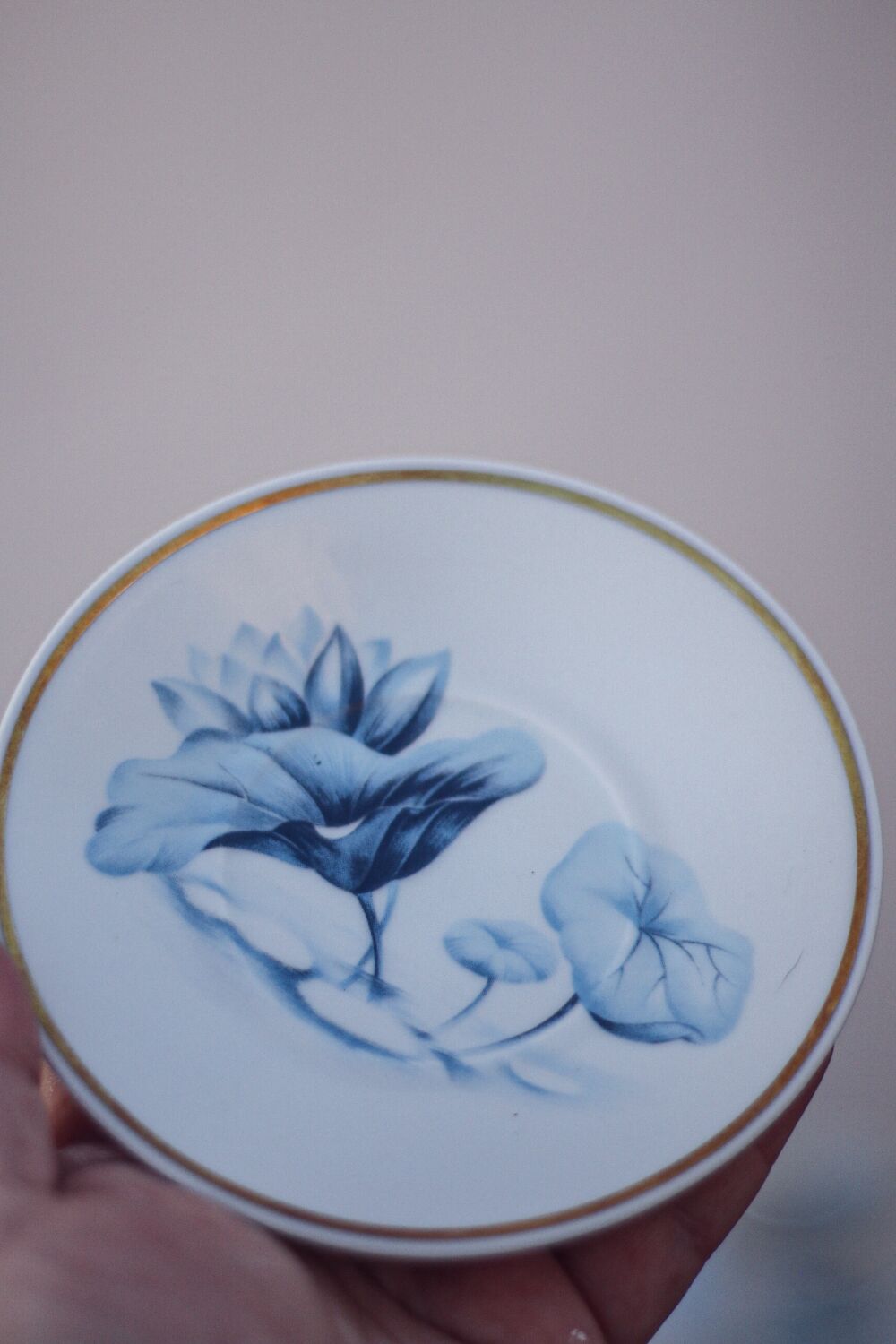 Set of 8 cups and saucers Deshoulieres Limoges