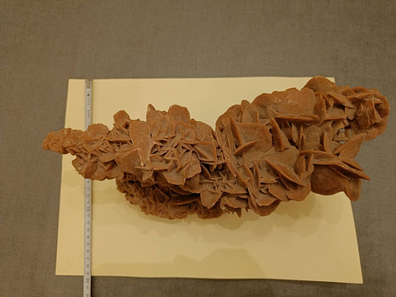 Algerian sand rose 3.8kg