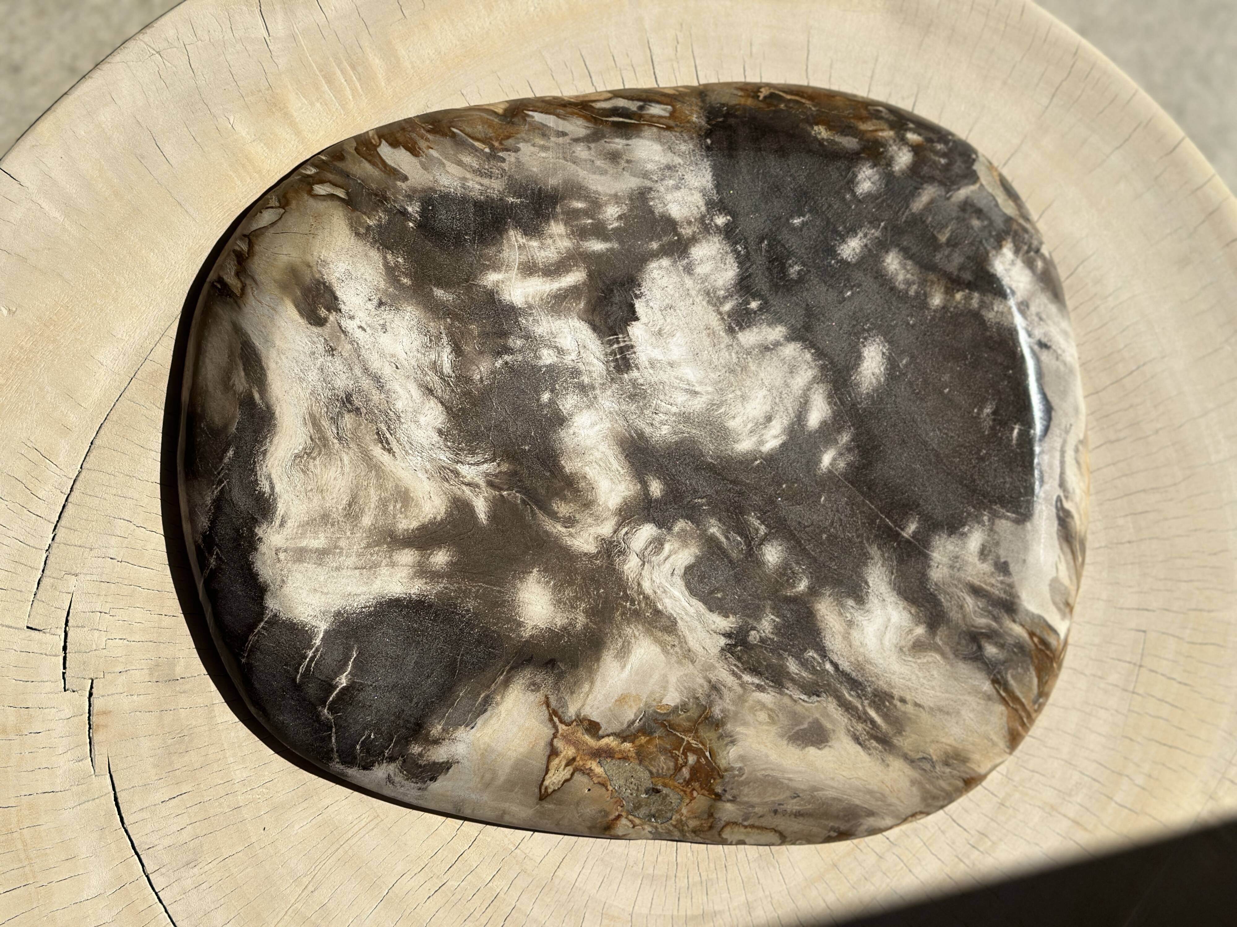 Very large pocket or dish in petrified wood