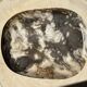 Very large pocket or dish in petrified wood