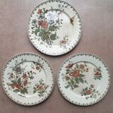 Plates Sarreguemines model "Madras"