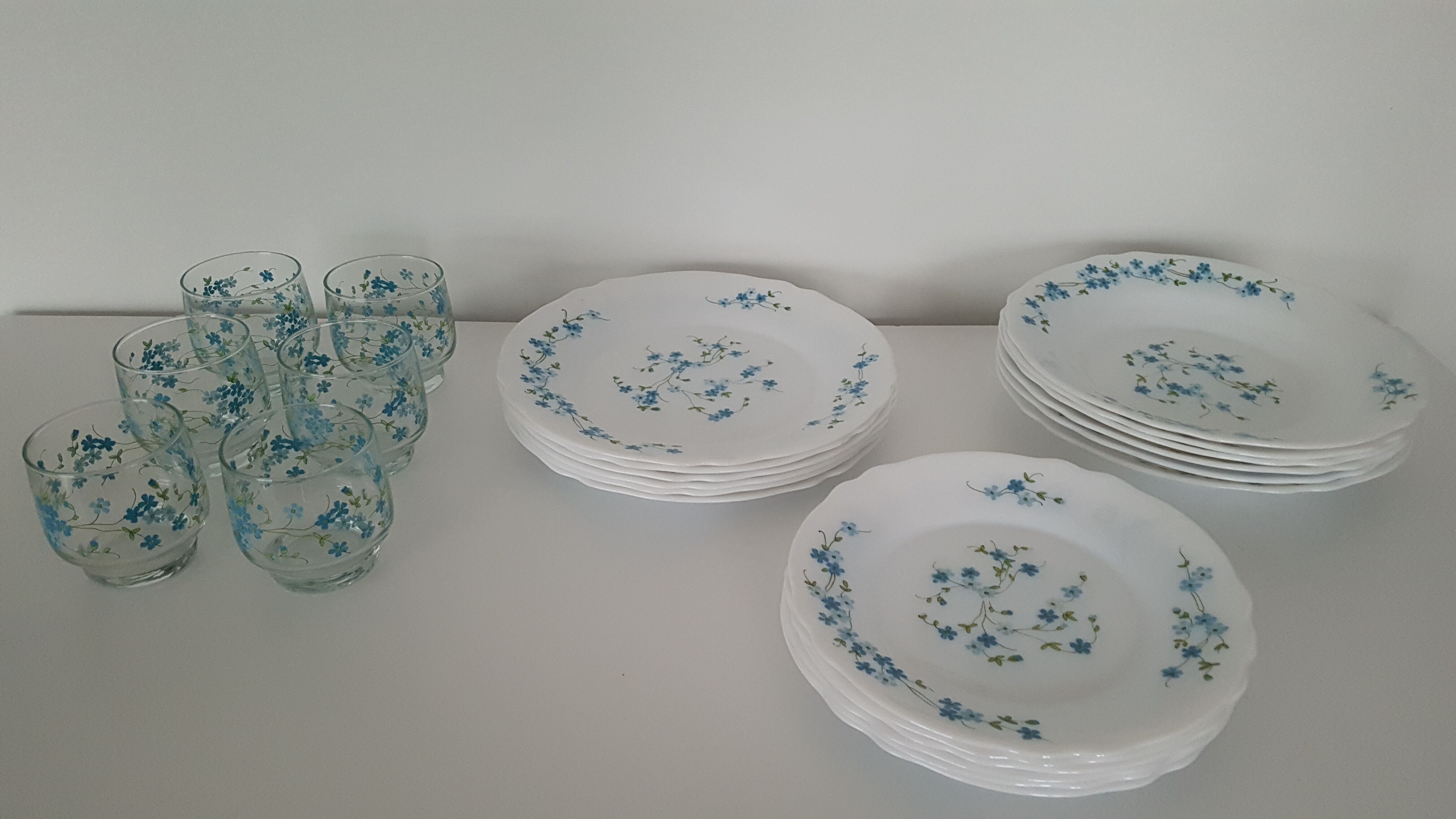 Full service 24 pieces Arcopal Myosotis Veronica