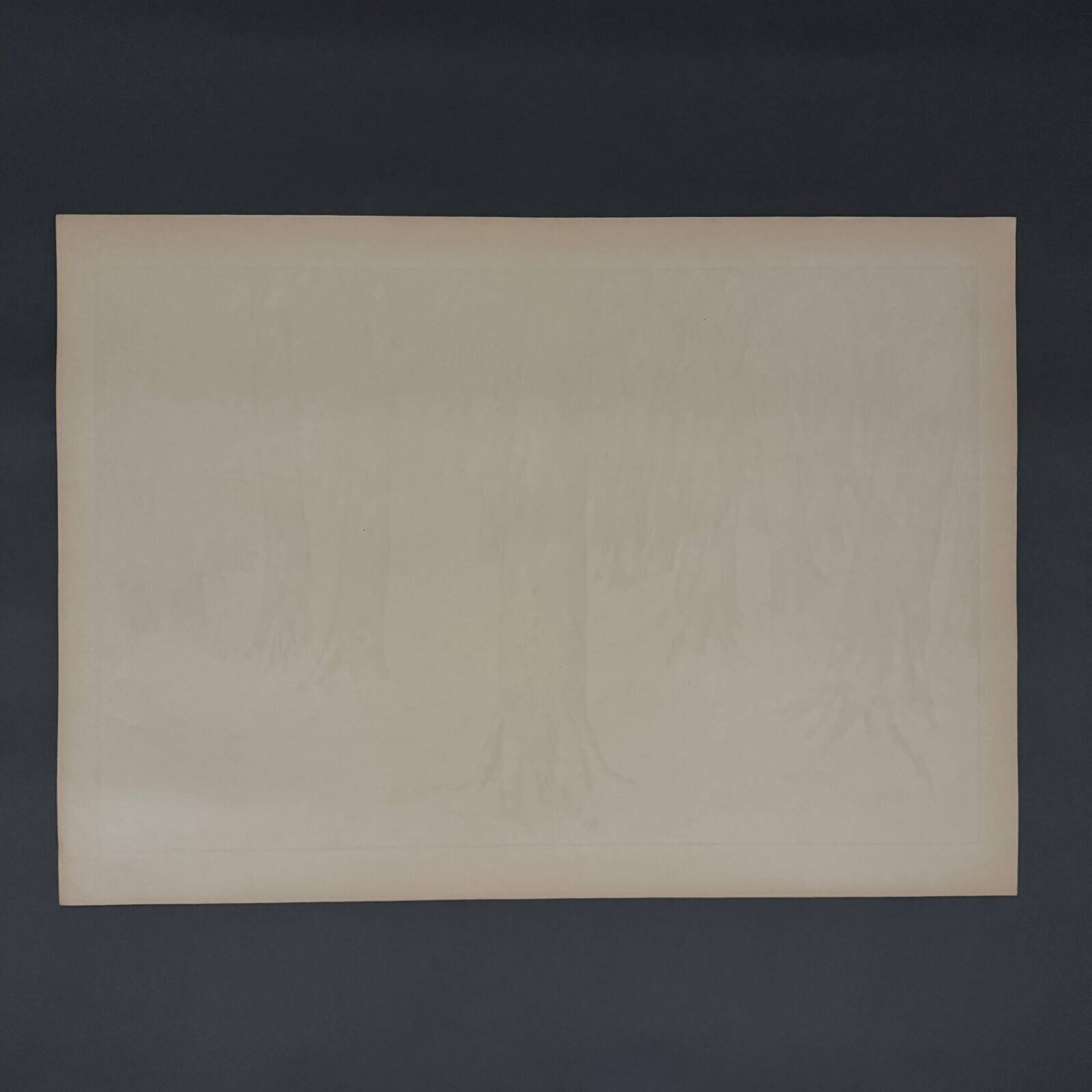 Lithograph by Henri Rivière Aspects of Nature - Winter Woods