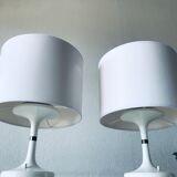 Pair of Erco lamps