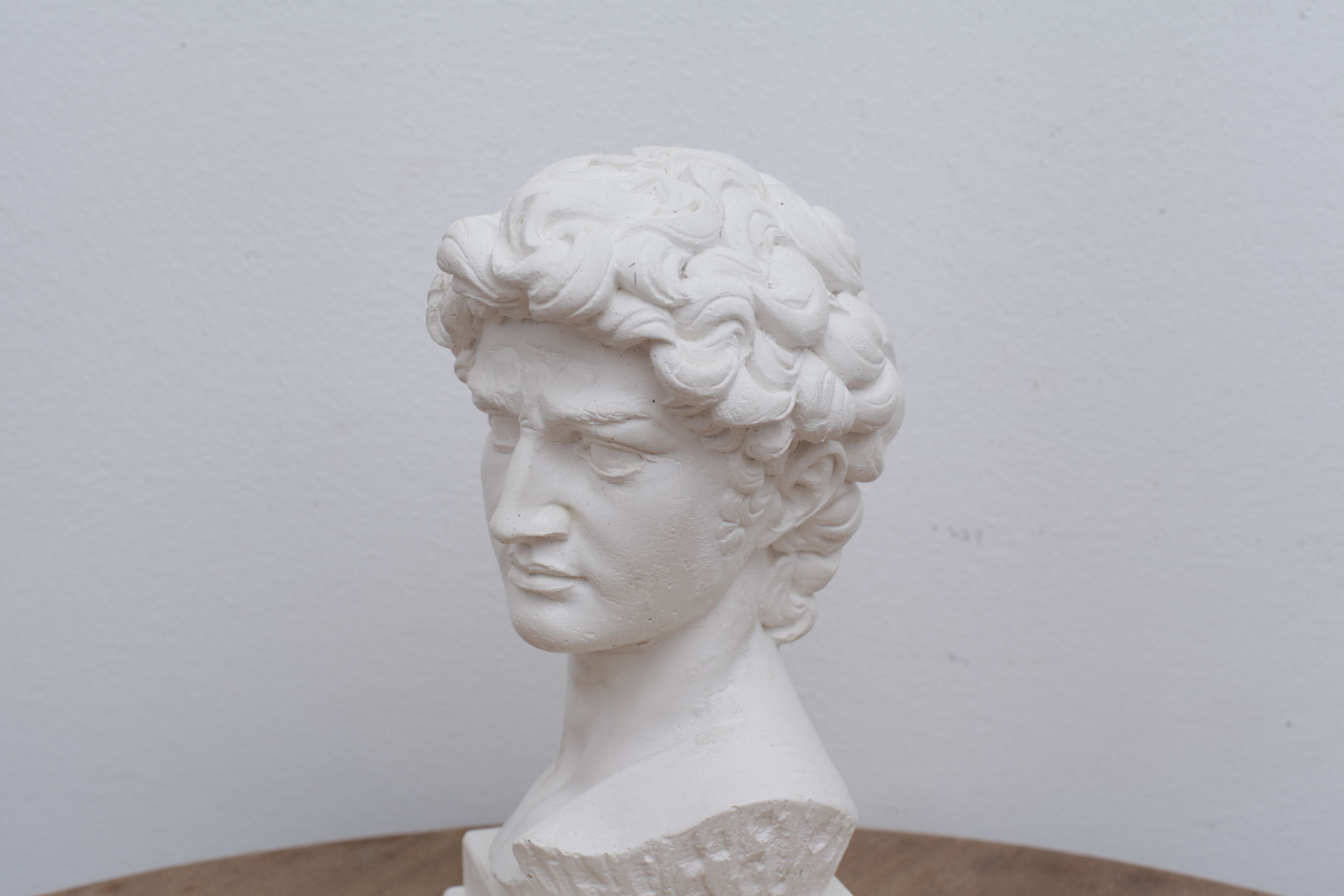 David head in waxed white plaster