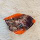 Fish dish Vallauris