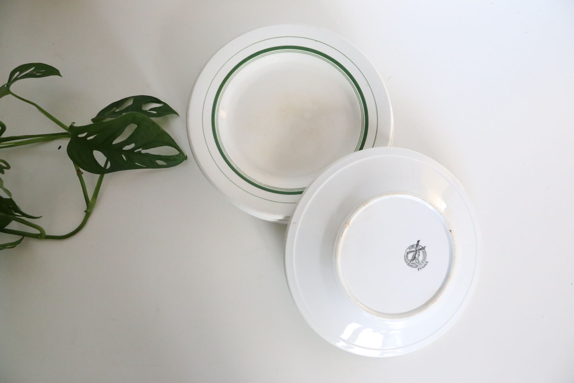 Set of 4 mouin des Loups plate, green motif, French vintage, rustic, countryside