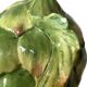 Artichoke Slush Box