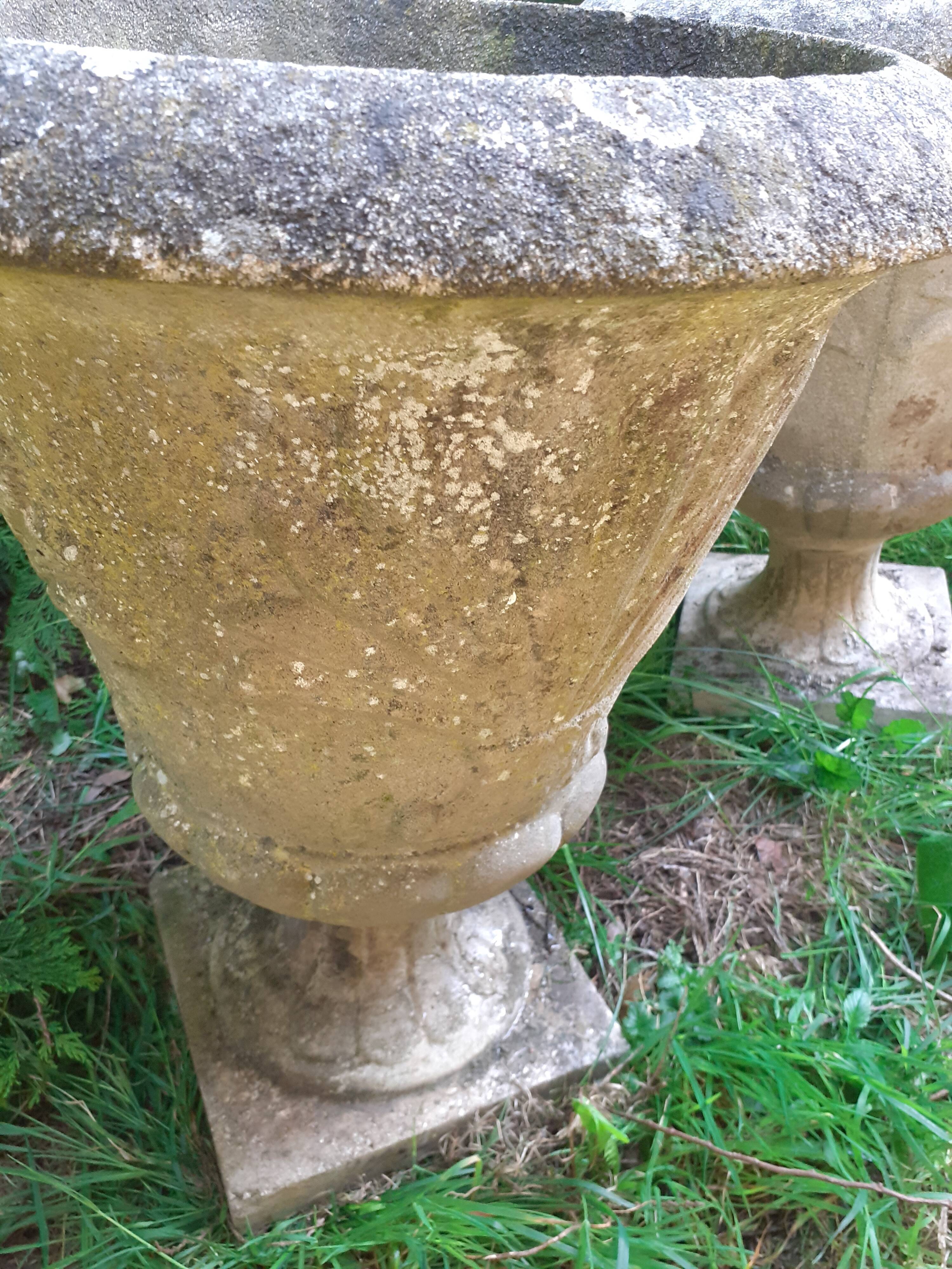 Pair of stone planter medicis