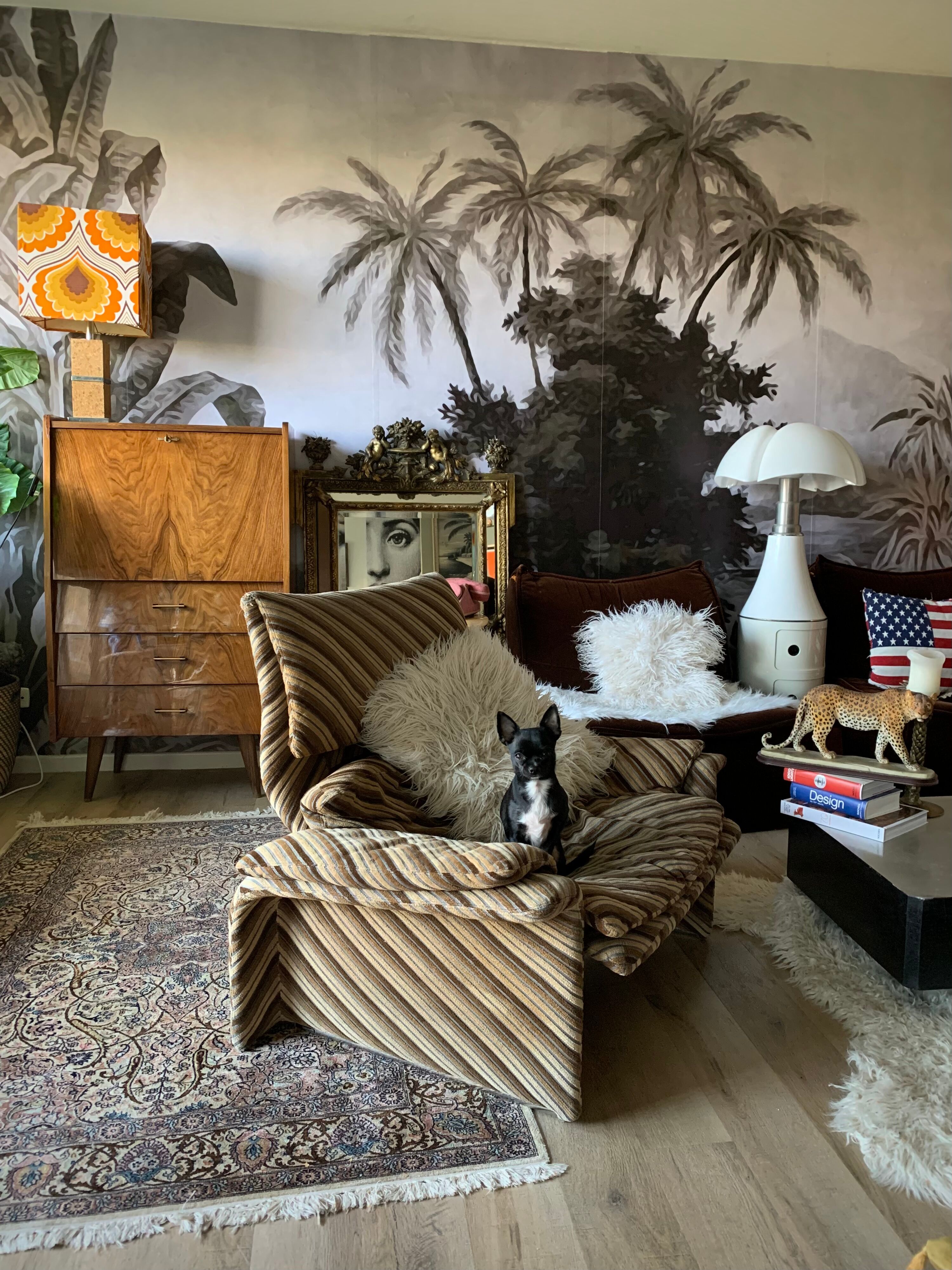 Secretary 70 feet compass